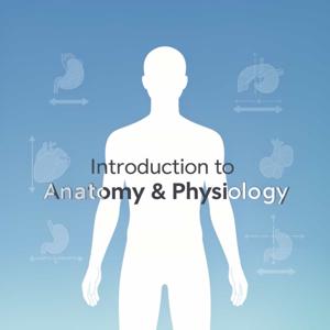 Introduction to Anatomy & Physiology