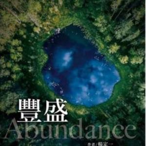 《豐盛 》| 杨定一著 张婉琦(选读)