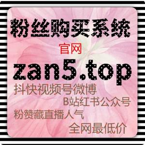 自助涨粉神器：微博互动值如何提升粉丝参与度？