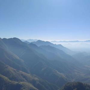 drink tea and keep in good health