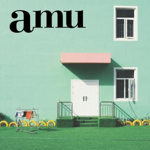 amu radio