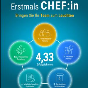 HÖRBUCH: Erstmals Chef:in - Bringen Sie ihr Team zum Leuchten