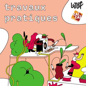 TRAVAUX PRATIQUES