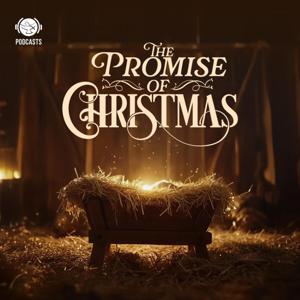 The Promise of Christmas | Shalom World