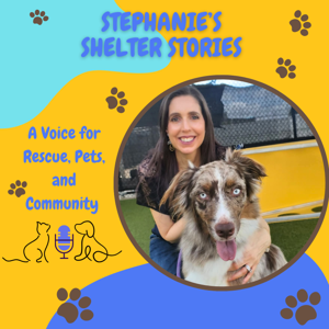 Stephanies’s Shelter Stories