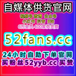 自助流量增长平台|抖音手提粉丝与点赞数据结构优化策略