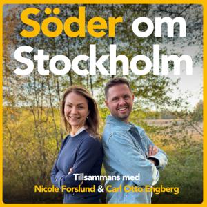 Söder om Stockholm