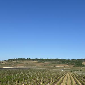 Global Routes: Your Personal Travel Companion