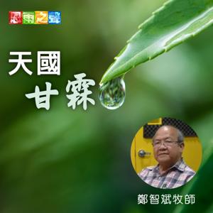恩雨之聲 「天國甘霖」