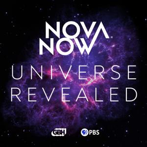 NOVA Now Universe Revealed