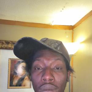 Alphabet Gator 💯‼️