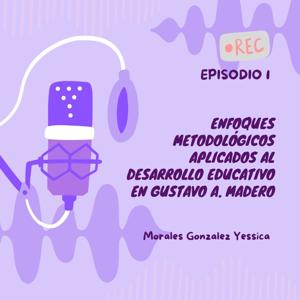 Enfoques metodológicos: Educación GAM