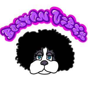 💜Boston Vibes💜