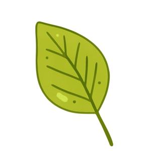 In Viaggio nella Natura