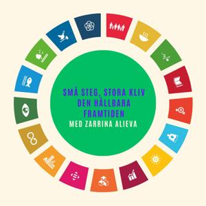 Små steg, stora kliv – den hållbara framtiden