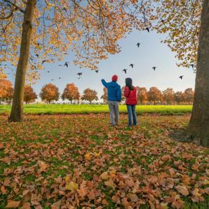 Bird Watching in the Southeast