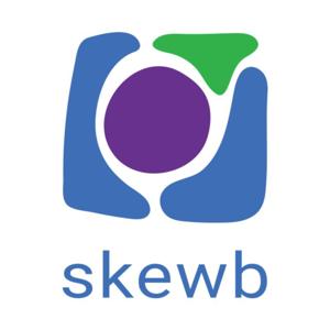 Skewb Ltd