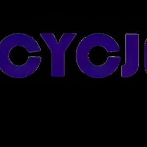 تاريخ الشركة