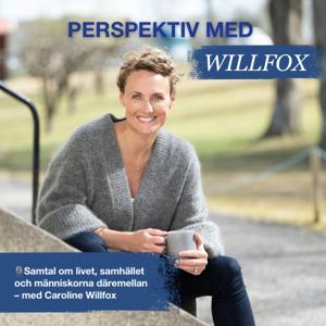 Perspektiv med Willfox