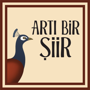 Artı Bir Şiir