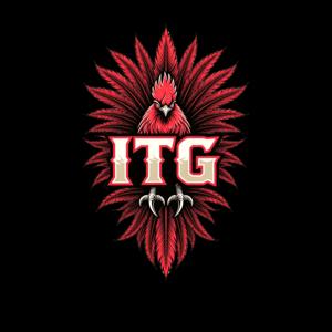 Inside the Gamecocks Shows and Podcasts