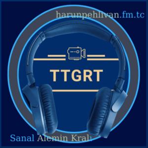 TEBİMTEBİTAGEM GAZETESİ RADYO TELEVİZYONU