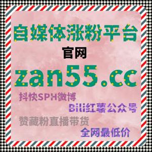 流量提升秘籍:B站三连与哔哩点赞组合使用策略提高视频播放量