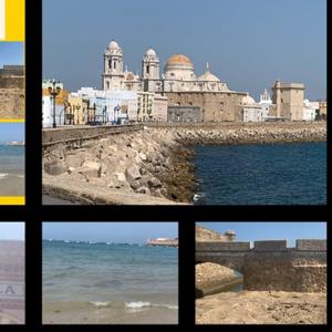 CarnavaldeCádizCOAC