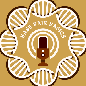 The Base Pair Basics