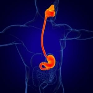 Navigating Gastrointestinal Challenges: Insight Into GERD and H. pylori Management