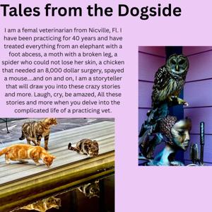 Tales from the Dogside