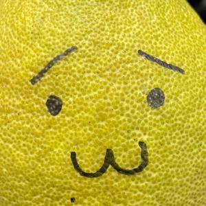 追星人Lyo的日常碎碎念