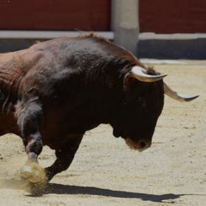 做龚牛-牛论几句，不AI吹