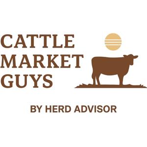 The Cattle Market Guys Podcast