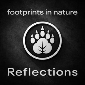Footprints In Nature Reflections