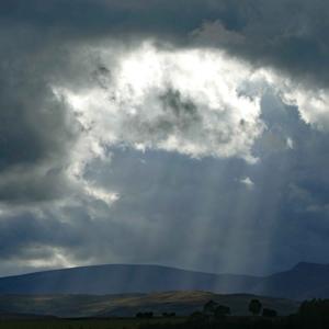 Sitting In The Sunshine