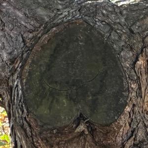 Allen Curtis Capital - The Dawn of Industry 5.0