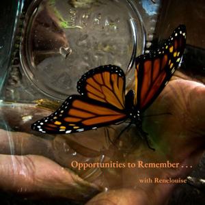 Opportunities to Remember . . .  with Renelouise