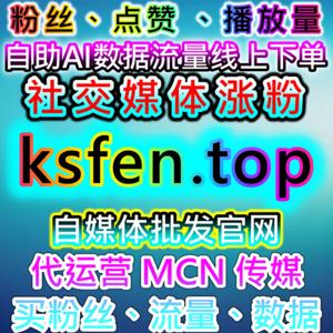 多维度社交互动与粉丝分析，流量提升的精准策略