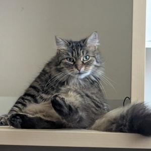 Drama Alevel love and money