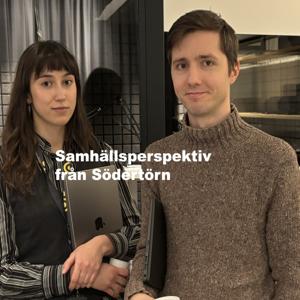 Samhällsperspektiv från Södertörn