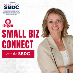 Small Biz Connect