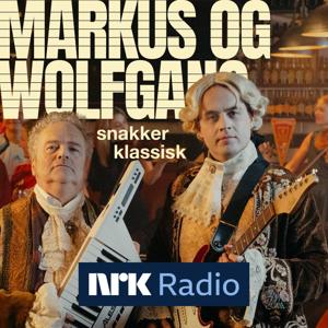 Markus og Wolfgang snakker klassisk