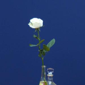 Ouvrir son cœur - Les pratiques sur la souveraineté - 2026