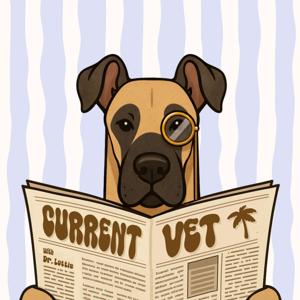 Current Vet