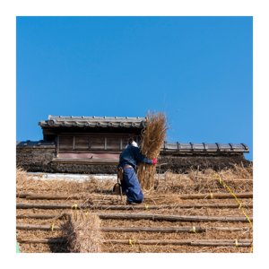 Raising the Roof: The Homeowner’s Guide to Roofing & Restoration