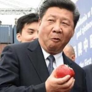 维尼TACO谈治国理政