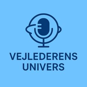 Vejlederens univers