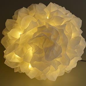 Il Birichino di papà