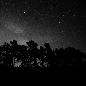 やじまのアウトプット部屋